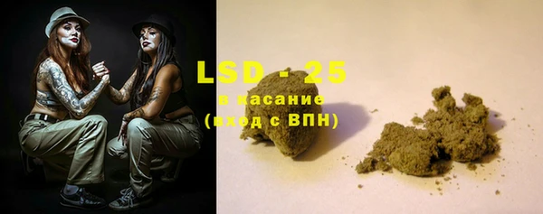 стаф Горняк