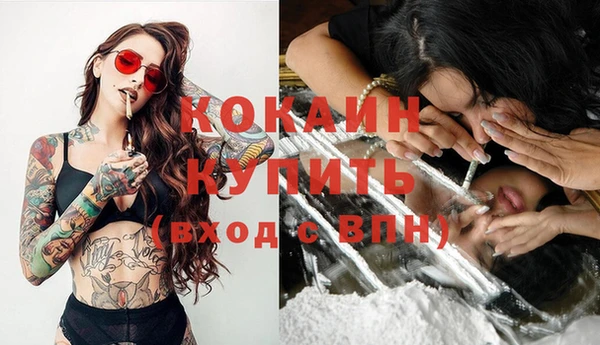 стаф Горняк