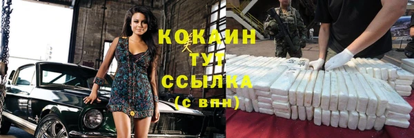 стаф Горняк