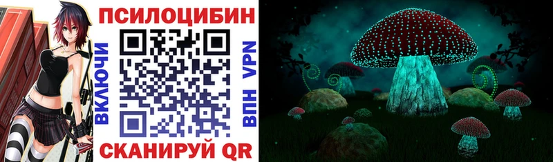 Псилоцибиновые грибы Psilocybine cubensis  дарк нет официальный сайт  Гурьевск 