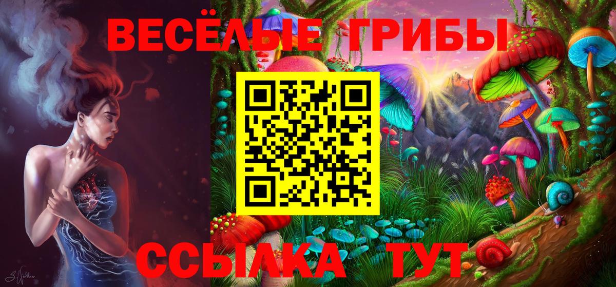 Псилоцибиновые грибы Magic Shrooms Гурьевск