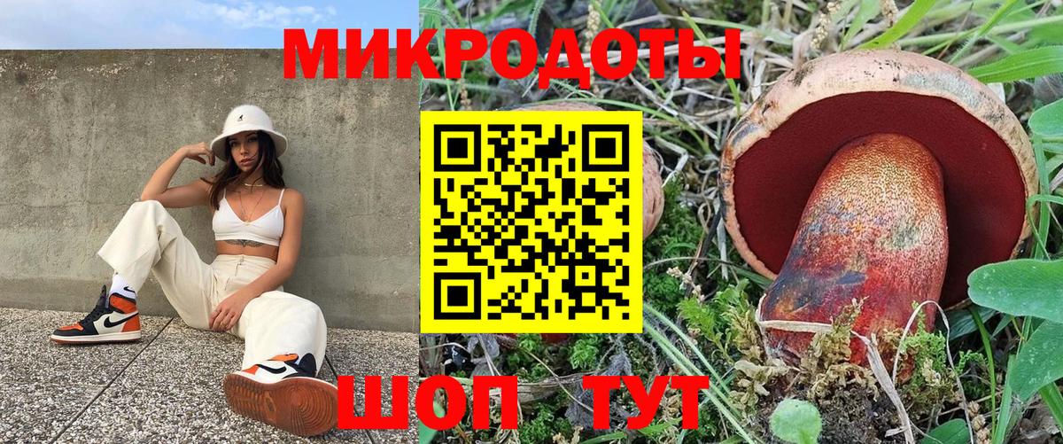 цены   Вход с VPN  Псилоцибиновые грибы прущие грибы  Гурьевск  Псилоцибиновые грибы MAGIC MUSHROOMS 