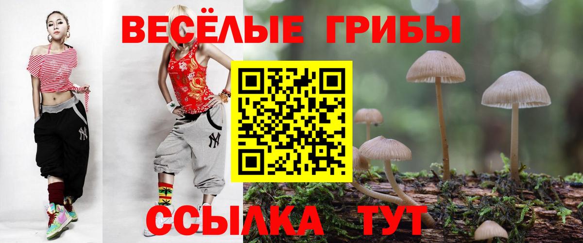Псилоцибиновые грибы MAGIC MUSHROOMS  Гурьевск  цена   Псилоцибиновые грибы мицелий 